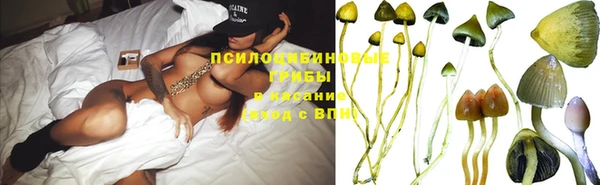 ешки Арсеньев