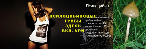 ешки Арсеньев