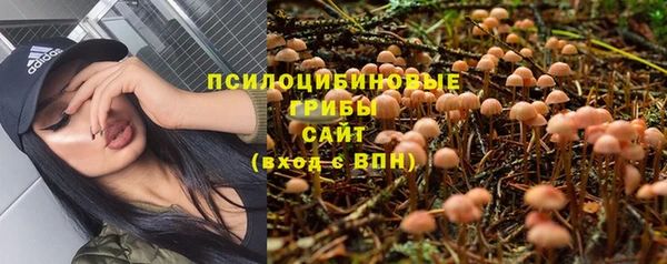 индика Михайлов