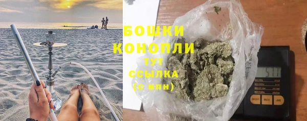 индика Михайлов