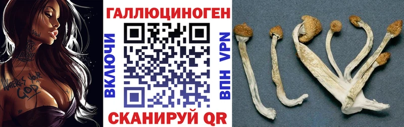 Галлюциногенные грибы Magic Shrooms  Шагонар 